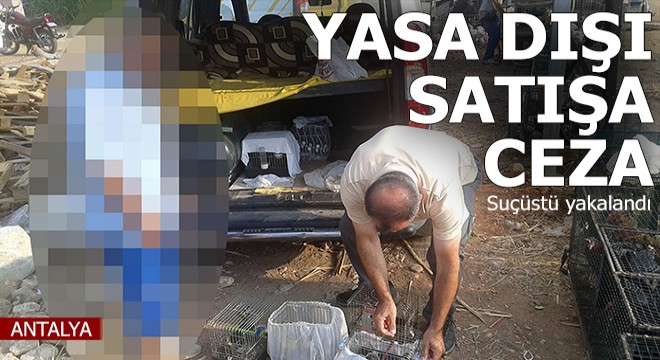 Yasa dışı satışa ceza