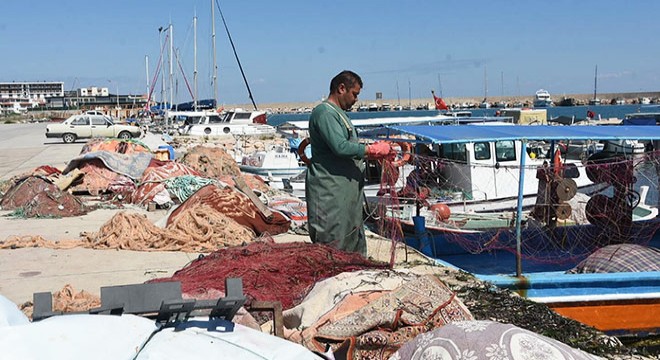 Yasağa rağmen algarna yöntemiyle deniz patlıcanı avına tepki
