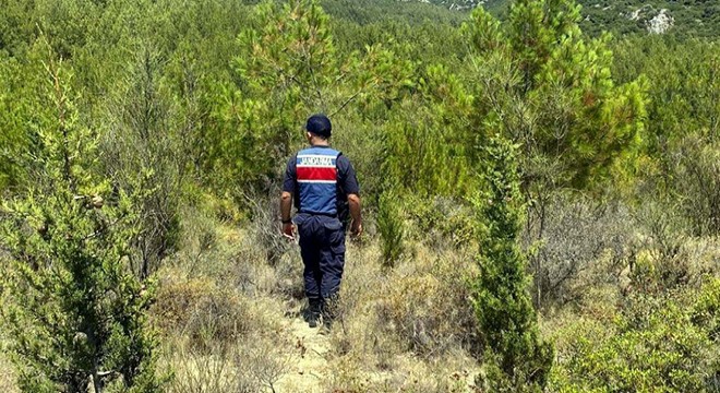 Yasağa rağmen ormana giren 29 kişiye 37 bin 555 TL ceza
