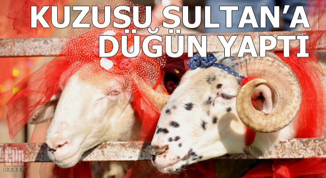Yasaklar kalktı, kuzusu  Sultan a davullu zurnalı düğün yaptı