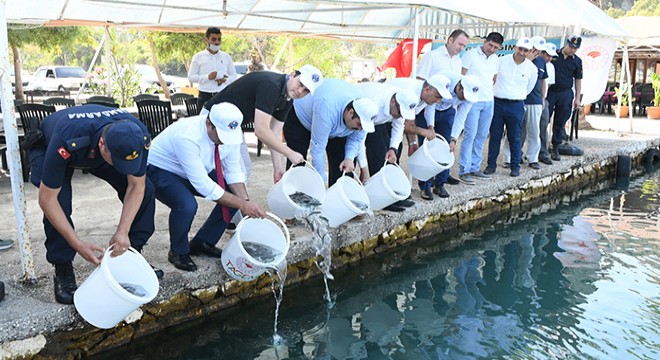 Yavru balıklar Akdeniz'le buluştu