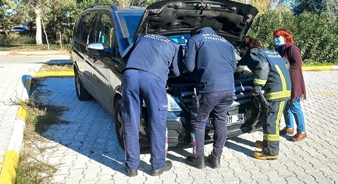 Yavru kediyi aracın motorundan çıkarmak için kedi sesi dinlettiler