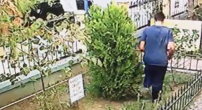 Yavru kediyi ayağıyla ezerek öldüren saldırgan engelli çıktı