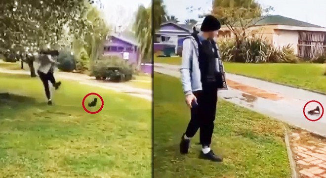 Yavru kediyi tekmeleyen Iraklı çocuk için 5 yıl hapis istemi