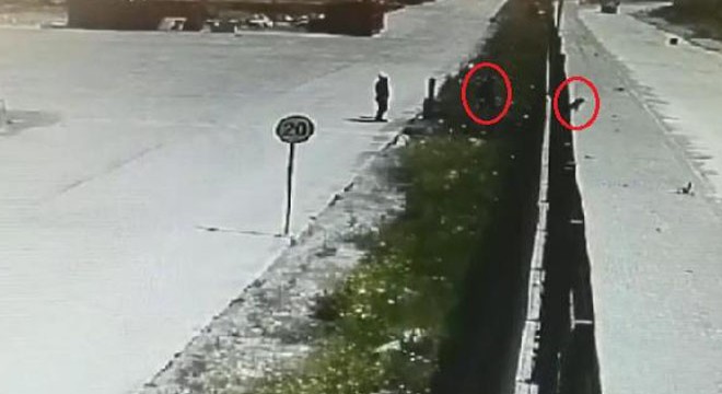 Yavru köpeği çitlerin üzerinden fırlatıp attı