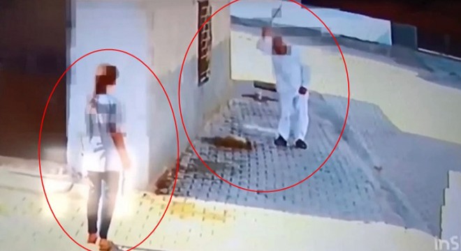 Yavru köpeği, demir çubukla başına defalarca vurarak öldürdü