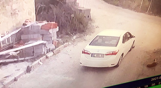 Yavru köpeği ezen sürücü yoluna devam etti
