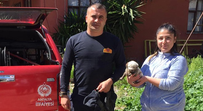 Yavru köpeği itfaiye kurtardı