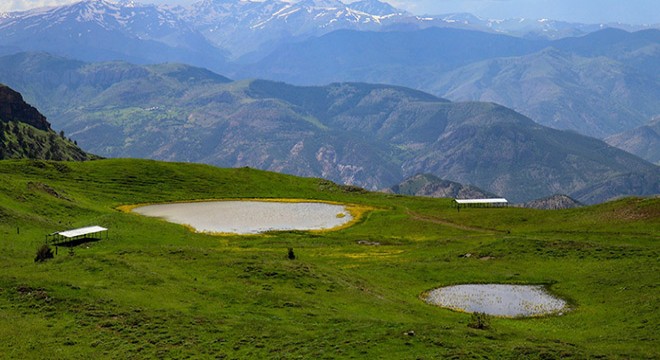 Yaylada heyecanlandıran keşif