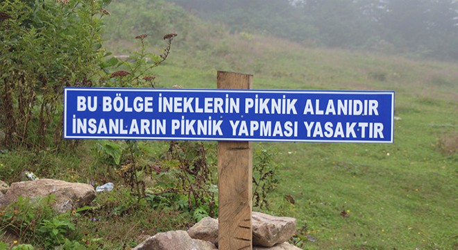 Yaylaya çöp bırakan piknikçilere tabelalı uyarı