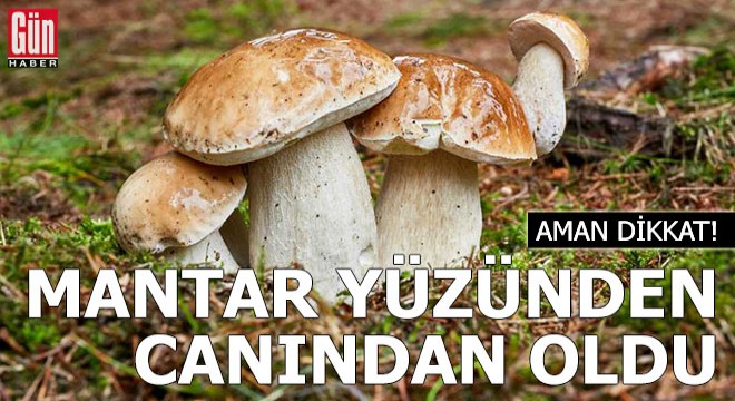 Yediği mantar yüzünden canından oldu