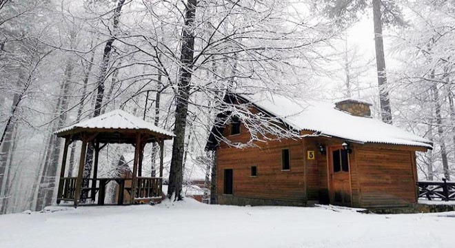 Yedigöller Milli Parkı nda kış manzaraları