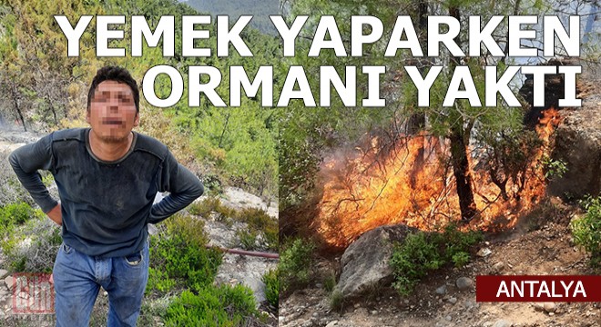 Yemek pişirmek isterken ormanı yaktı