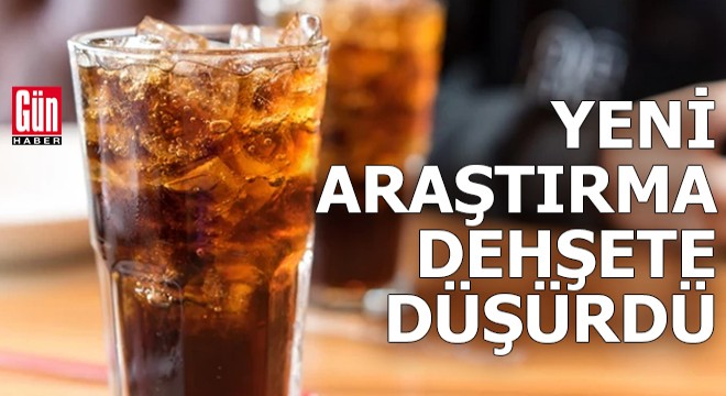 Yeni araştırma dehşete düşürdü