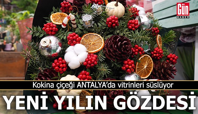 Yeni yılın gözdesi Antalya'da vitrinleri süslüyor