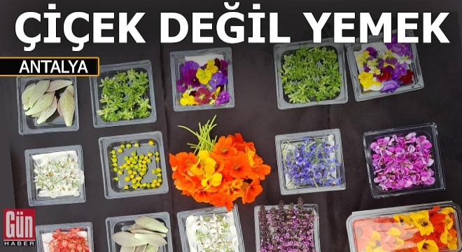 Yenilebilir çiçekler hem damağa hem göze hitap ediyor