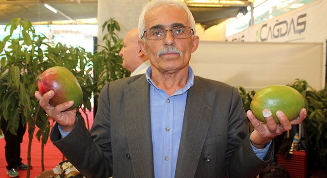 Yerli mango üreticiye tanıtıldı