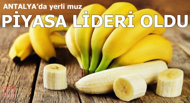 Yerli muz piyasa lideri oldu