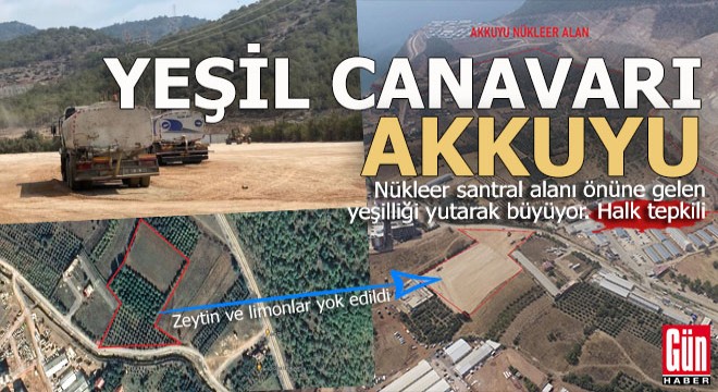 Yeşil canavarı Akkuyu A.Ş'ye tepki var