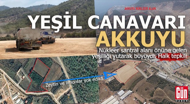 Yeşil canavarı Akkuyu A.Ş ye tepki var