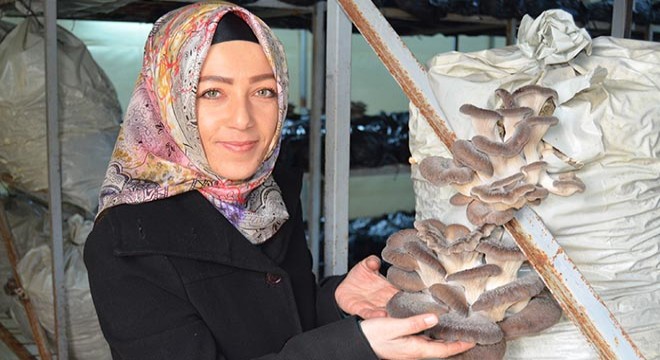 Yeşim, annesi için döndüğü köyünde mantar üreticisi oldu