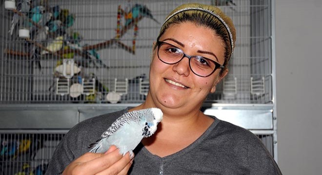 Yetiştirdiği muhabbet kuşlarına gözü gibi bakıyor