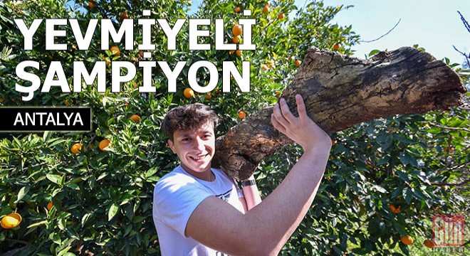 Yevmiyeli şampiyon