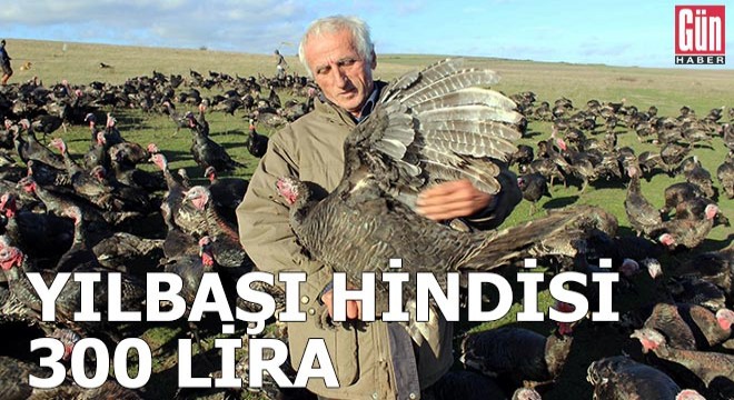 Yılbaşı hindisi 300 lira