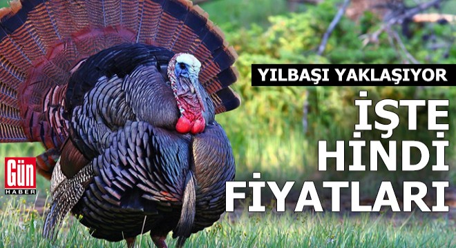Yılbaşı yaklaşıyor! İşte hindi fiyatları