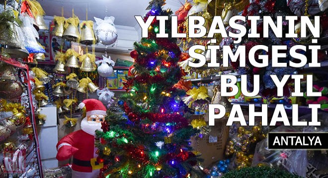 Yılbaşının simgesi  çam ağacı  bu yıl zamlı