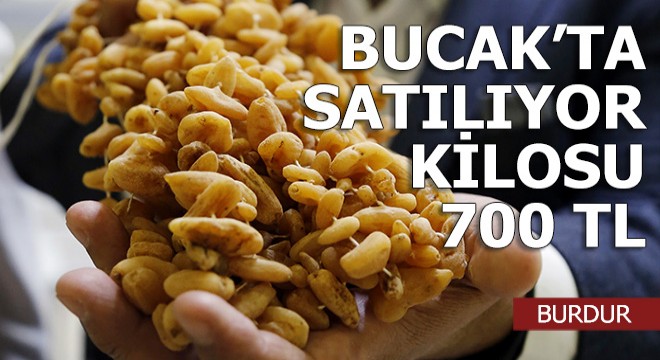 Yılda 200 ton üretiliyor