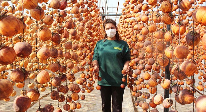 Yıllık 50 ton cennet elmasını kurutup satıyor