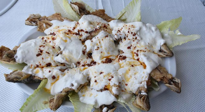 Yoğurtlu kupes balığı ile tabuları yıktı