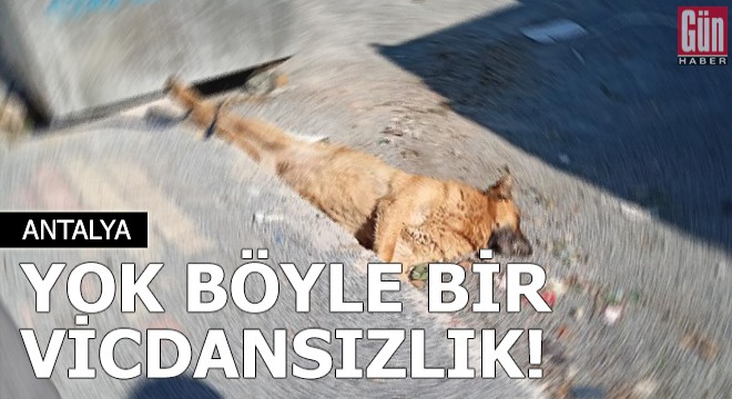 Yok böyle bir vicdansızlık!