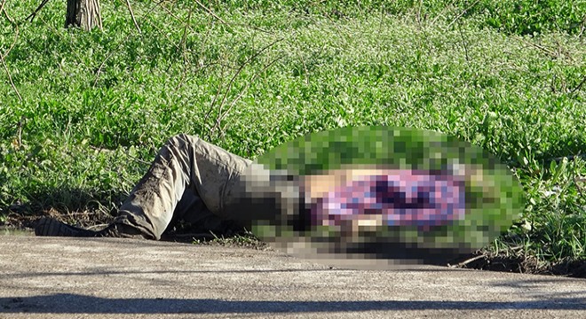 Yol kenarındaki cinayetin nedeni halüsinasyon çıktı