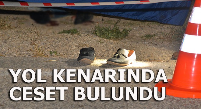 Yol kenarında erkek cesedi bulundu