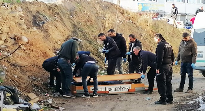 Yol kenarında ölü bulundu