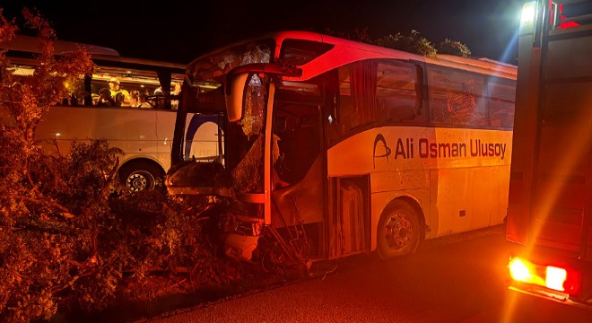 Yolcu otobüsü ağaçlara çarptı: 1 ölü, 13 yaralı