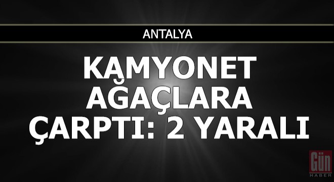 Yoldan çıkan kamyonet ağaçlara çarptı: 2 yaralı