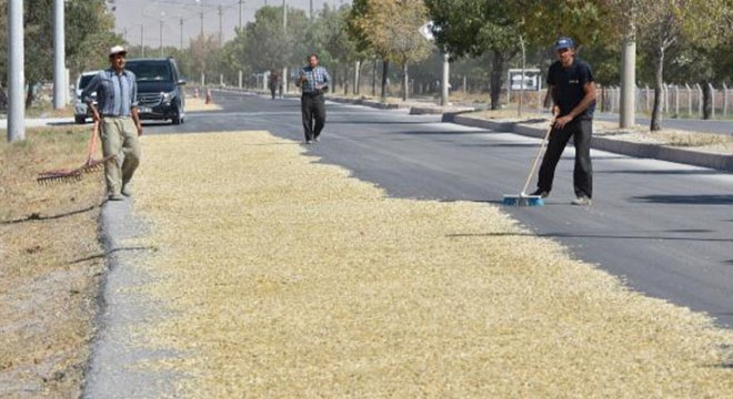 Yolun bir şeridini trafiğe kapatıp, kabak çekirdeği kurutuyorlar