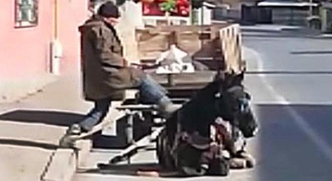 Yorgunluktan yere çöken atını tekmeledi