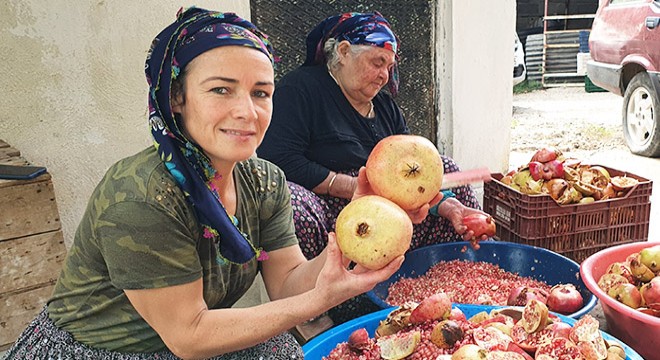 Yörük kadınların  nar ekşisi  mesaisi