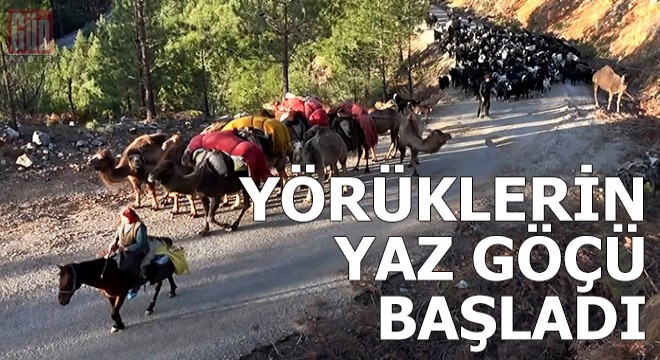 Yörüklerin 20 gün sürecek yaz göçü başladı