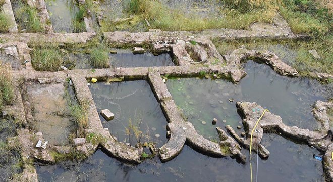 Yosun tutan tarih sonunda kurtulacak