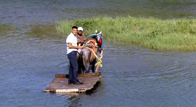 Yük taşımada kullandıkları atı Seyhan Nehri’nde serinlettiler