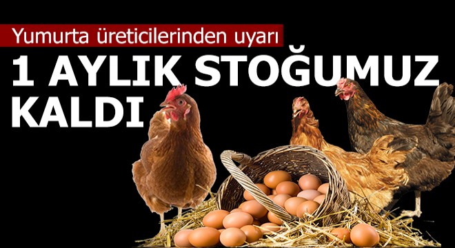 Yumurta üreticilerinden uyarı; 1 aylık yumurta stoğumuz kaldı