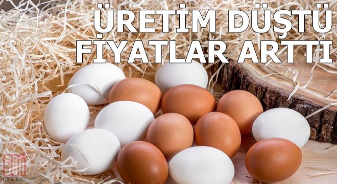 Yumurtada üretim düşünce fiyatlar arttı