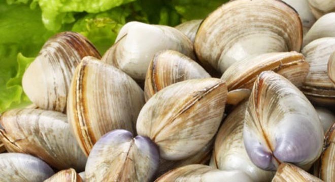 Yunanistan’a götürülmek istenen 5 ton midye ele geçirildi