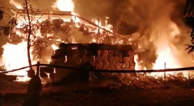 Yusufeli'nde ahır yangını; 7 büyükbaş telef oldu