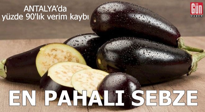 Yüzde 90 verim kaybı yaşanan patlıcan, en pahalı sebze